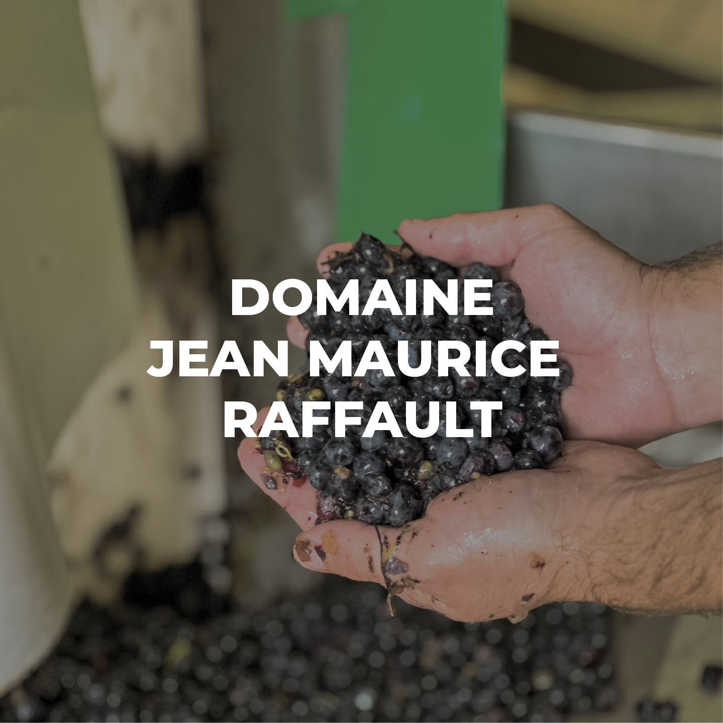 PROJET JEAN MAURICE RAFFAULT