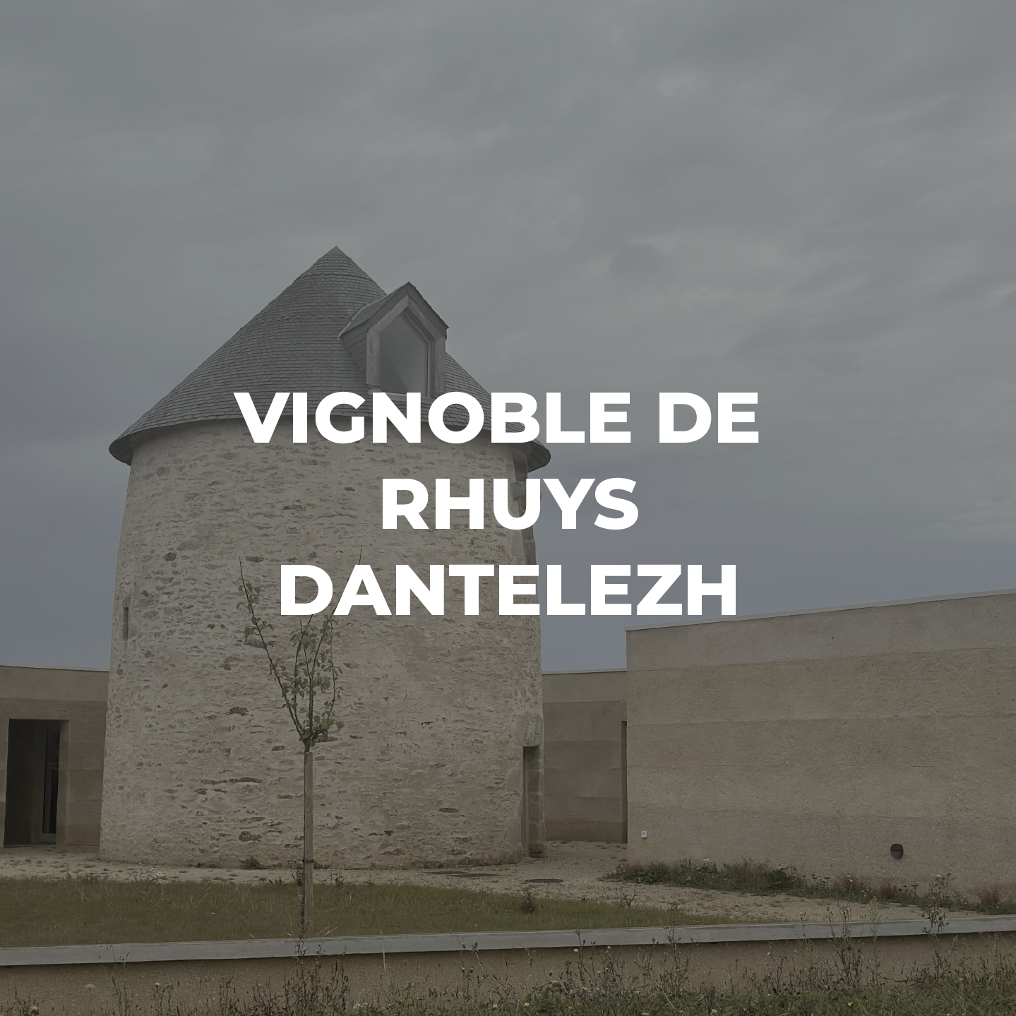 PROJET VIGNOBLE DE RHUYS DANTELEZH